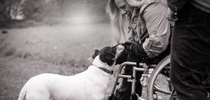 Pet Supplies for Disabled Owners
